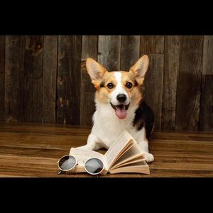 Meet your Posher, Vivienne